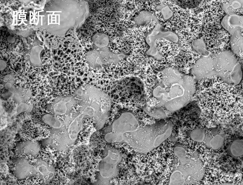 久久人妻少妇嫩草AV蜜桃麻豆燒結管式膜電鏡照片