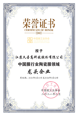中國膜行業麻豆精品视频在线观看領域龍頭企業