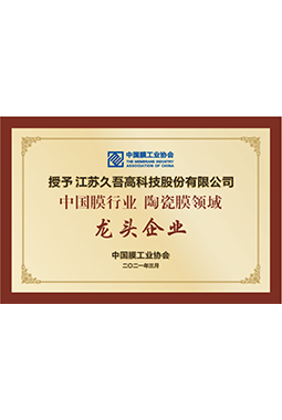 中國膜行業麻豆精品视频在线观看領域龍頭企業